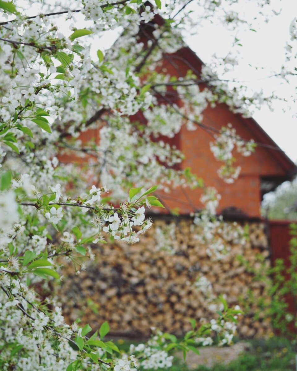 С весны до осени мы приезжаем сюда на все выходные и праздники, иногда проводим здесь отпуск.