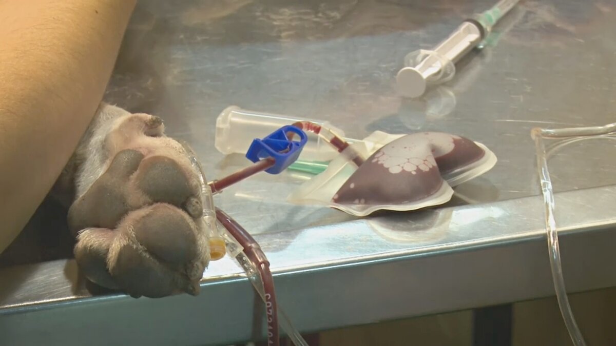 источник фото Яндекс.Картинки