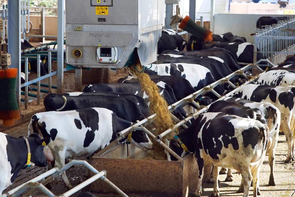 Фото: Центр Agri-EPI