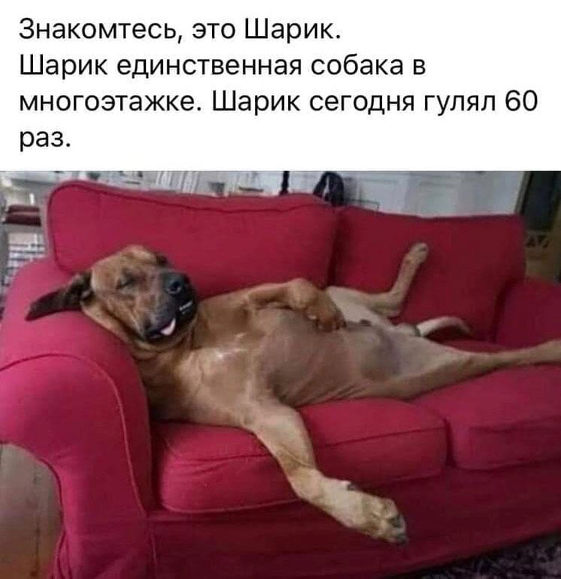 На конец то подстригла