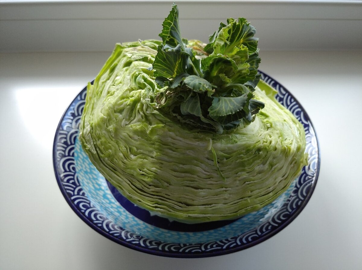 Моя метафора:   обновление жизни