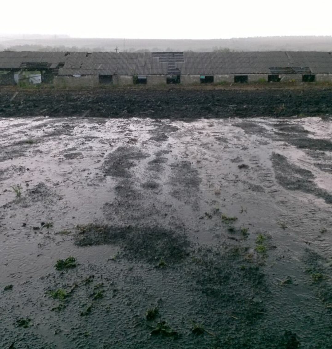 Заброшенная ферма на моем загородном участке ждёт своего часа