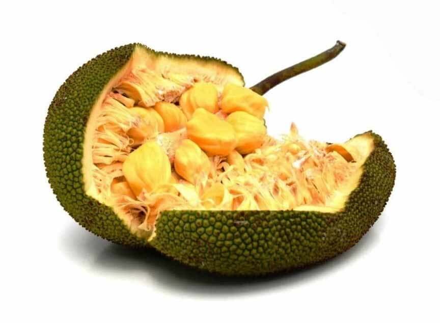 Фото из свободного доступа.