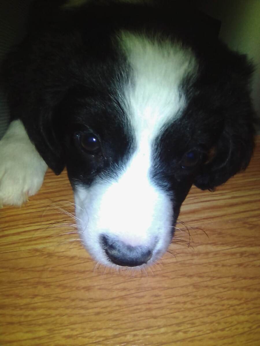 Фото из личного архива.