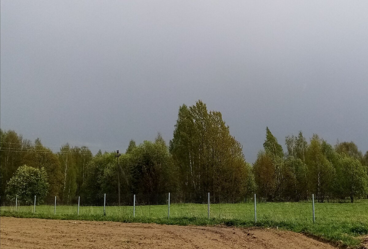 Берегите лес!