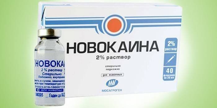 Грибок ногтей (микоз). Народные методы лечения