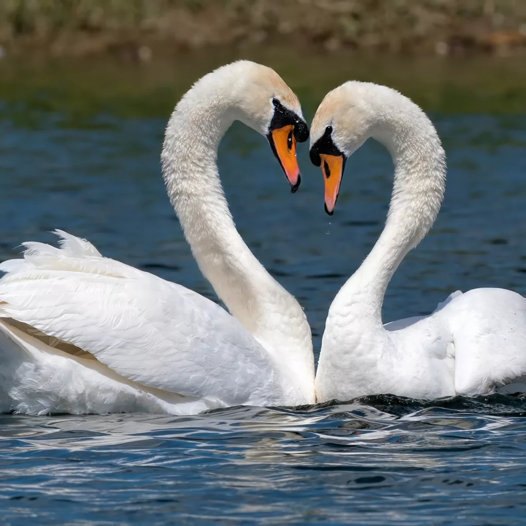 Фото www.goodfon.ru