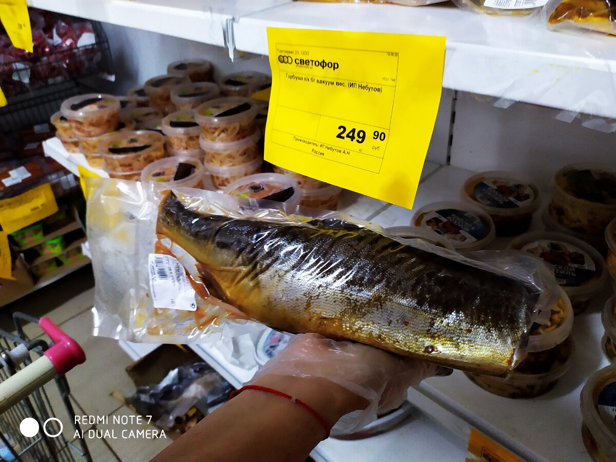 Рыба в светофоре. Какая рыба продается в светофоре. Рыба в светофоре свежемороженая. Рыба в светофоре свежемороженая. Форель светофор мороженая.