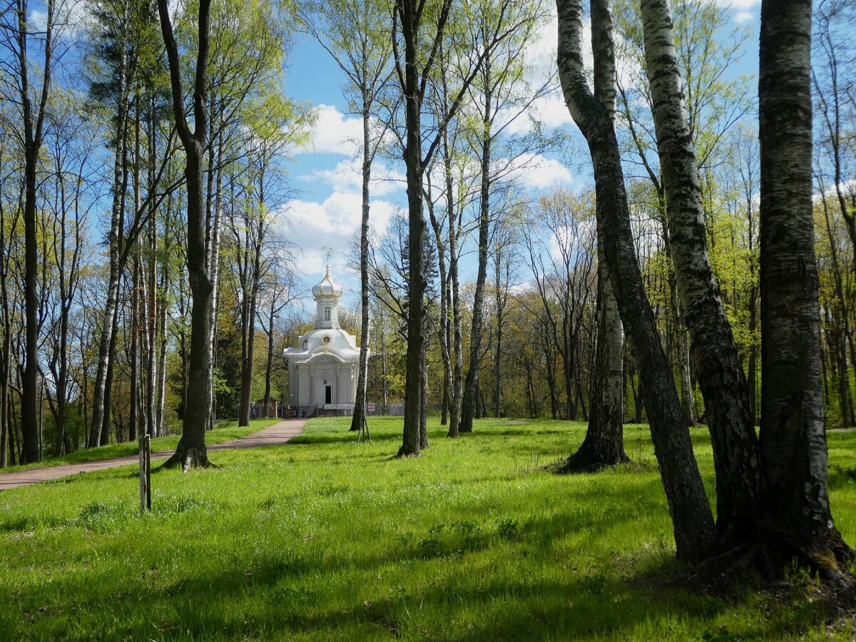 парк сергиевка петергоф