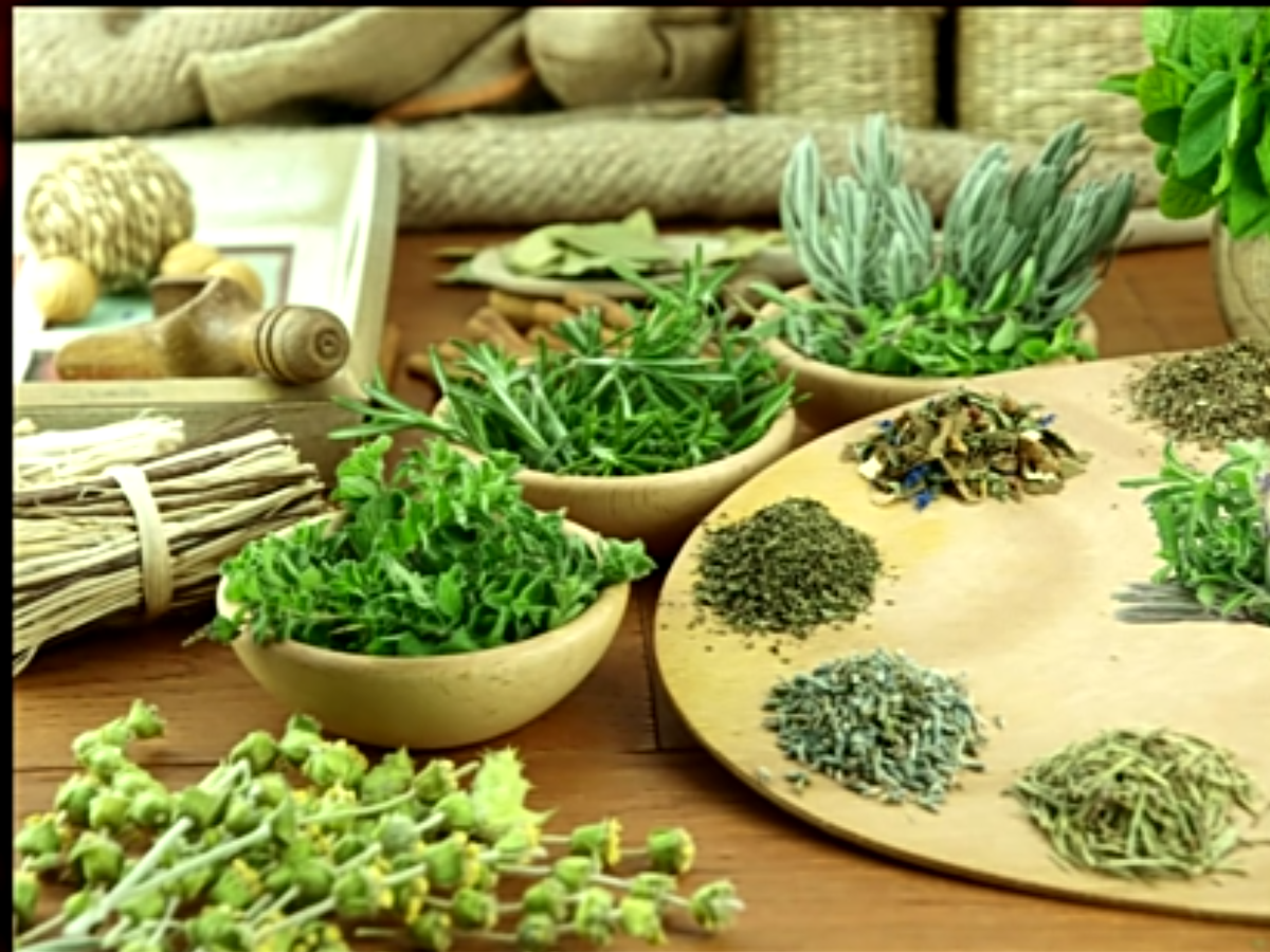 Здравствуйте друзья ! 
 Сегодня я  расскажу вам о трёх растениях, которые лечат почти всё !
   Травничество является исконно русской традицией. Сбор трав, приготовление из них различных лекарственных смесей и составов, уже давно не является чем-то странным, или необычным. Все люди знают что избавиться от тех, или иных недугов, помогают именно многие травы и растения.
  Я расскажу вам о трёх растениях, с помощью которых можно вылечить множества заболеваний, или облегчить текущее состояние. Все они, из покон веков, использовались во врачевании и уже давно пользуются успехом у людей всех поколений. Разумеется любой современный человек слышал о красном остром перце, чесноке и подорожнике, более того, каждый знает, что они полезны, однако не всем известны их потаенные силы. Польза этих растений гораздо более ценно, чем можно предположить на первый взгляд.

  ОСТРЫЙ ПЕРЕЦ, в данной категории, можно отнести не только острый перец хабанера, красный острый перец объединяет в себе большую группу из разных растений, сюда же следует добавить любимые многими паприку и кенийский перец. Эти растения, по всему земному шару, использовались в качестве лекарства при различных заболеваниях, например чай из красного перца, хорошо разгоняет кровь, что очень спасает от переохлаждения или озноба, соки данных перцев отлично снижают повышенное давление. Также перец помогает бороться с болезнями суставов, что широко применяется производителями разогревающих мазей. Кроме того, красный перец идеально очищает сосуды от бляшек и токсичных образований, нередко достаточно всего несколько капель перечного сока, чтобы улучшить общее состояние. Перец можно назвать одним из самых популярных растений, используемых при похудении, приём внутрь, вызывает особую деятельность органов в организме, что помогает активизировать процесс жиросжигания. А если использовать перец в качестве обёртывания - увеличивается  кровообращение, нормализуется внешний кровоток и лишние килограммы просто тают на глазах. Особенности красного перца в следующем : помогает переварить и усваивать пищу при употреблении внутрь, способствует нормализации работы желудочно-кишечного тракта, нормализует кровоток в сосудах организма, оказывает мочегонное и кроветворное свойство, улучшает работу печени и желчного пузыря, благодаря ферменту, укрепляет иммунитет, способствует росту волос, ресниц, укреплению ногтевой пластины.
   ПОДОРОЖНИК, с детства мы знаем что стоит приложить подорожник к ране и она быстро заживёт. Однако этим не ограничиваются полезные свойства данного растения. Кроме того, стоит отметить, что приложить целый лист к повреждению, не лучшая идея. Если такой помогает, то поверхностно. Для более активного действия подорожника, следует чтобы растение пустило сок. Именно поэтому, лучшего эффекта можно добиться при помощи примочек и компрессов из подорожника, пропущенного через мясорубку или блендер. Чаще всего, подорожник применяется для борьбы с ссадинами, синяками и ранками, укусами насекомых, зудящие язвами, абсцессами и иными гнойными кожными проявлениями. Особенности  подорожника в следующем : настойка из листьев подорожника помогают при кашле, ОРВИ, туберкулезе, плеврите, коклюше, бронхиальной астме и других заболеваниях дыхательной системы. Обладает противовоспалительным, антисептическим, ранозаживляющими характеристиками, помогает облегчить состояние при болезнях пищеварительной системы. Экстракт, из листьев подорожника, обладает седативным свойством при повышенной раздражительности и тревожности, снижает артериальное давление, борется с малокровием, гипертонией, повышает иммунитет, применяется в гинекологии, применяется при стоматологических проблемах.
  ЧЕСНОК.  Мало кто знает, что чеснок это не только вкусная приправа к блюдам, но отличное лекарственное средство. Разумеется всем из детства знаем, что чеснок полезен тем, что он повышает иммунитет. Но о более конкретных его свойствах, мало кто задумывался. А между тем, чеснок издавна широко используется в общей медицине. Чеснок можно применять в различных вариациях : в сыром виде, в виде примочек из кошицы, в виде настойки. А можно даже варить и пить отвар. Чеснок - это не только лучший природный антибиотик, но ещё и кладезь витаминов!  Особенности чеснока в следующем : борется с вирусными и бактериальными инфекциями. С помощью ферментов, которые содержатся в его составе, помогает нормализовать работу сердечно-сосудистой системы, борется с болезнями сердца, сосудов и кровотока, помогает при гипертонии, закупорки сосудов и тромбозов, отличная профилактика стоматологических заболеваний, помогает бороться с болезнями почек, снижает болезненное ощущение при болезнях суставов, лечит мужскую половую дисфункцию, помогает избежать авитаминоза и борется с ослабленным иммунитетом.
 В запечённом и горячем виде, чесночная копоть, помогает справиться с кожными заболеваниями, такими как лишай, экзема, грибок. Является отличным глистогонным средством, борется с другими паразитами.
   И так, чтобы быть здоровым, не обязательно посещать врача еженедельно, достаточно вооружиться знаниями о трех действенных растениях :
  КРАСНОМ ПЕРЦЕ, ПОДОРОЖНИКЕ и ЧЕСНОКЕ  и всегда иметь их при себе !
 Однако стоит помнить, что данные растения не заменяют необходимого медицинского вмешательства и не могут заменить операбельные методы лечения. Тем не менее, они способны оказывает профилактическое действие на организм и поддержать общее здоровье.

 О каких ещё полезных растениях знаете вы? Давайте обсудим это в комментариях.
Будте здоровы! 
Подписывайтесь на канал !