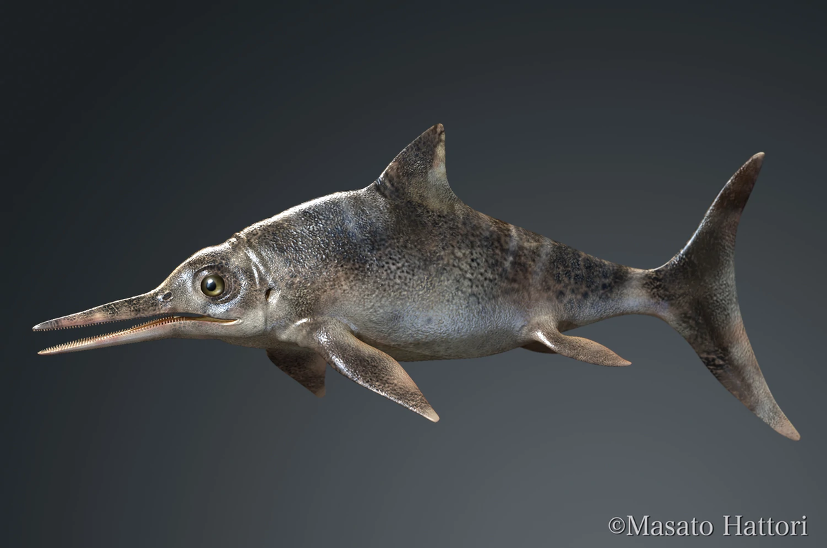 Офтальмозавр. Офтальмозавр динозавр. Ихтиозавр и мозазавр. Офтальмозавр прогулки с динозаврами. Офтальмозавр.