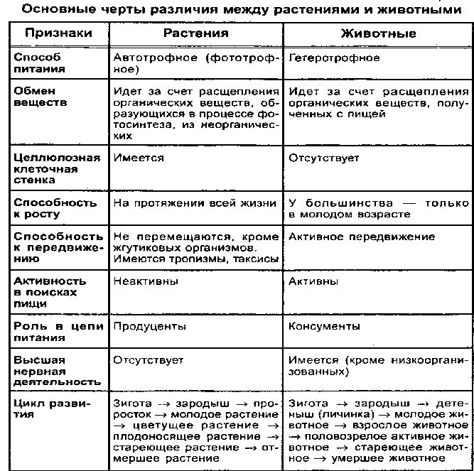 Биология сравнительная характеристика. Различие между животными и растениями таблица 7. Таблица различия между растениями и животными. Сравнение растений и животных таблица. Сходства и отличия растительной и животной клетки таблица.