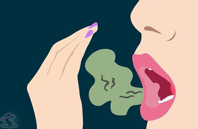 Фото: pixabay.com