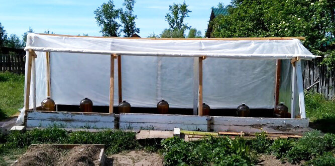 Простая теплица из досок