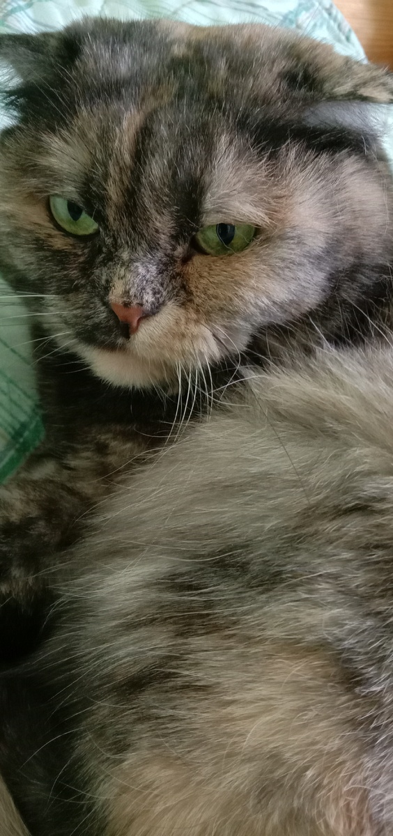 Фото автора. Меня вроде зовут...ну полежу ещё немного, подождут