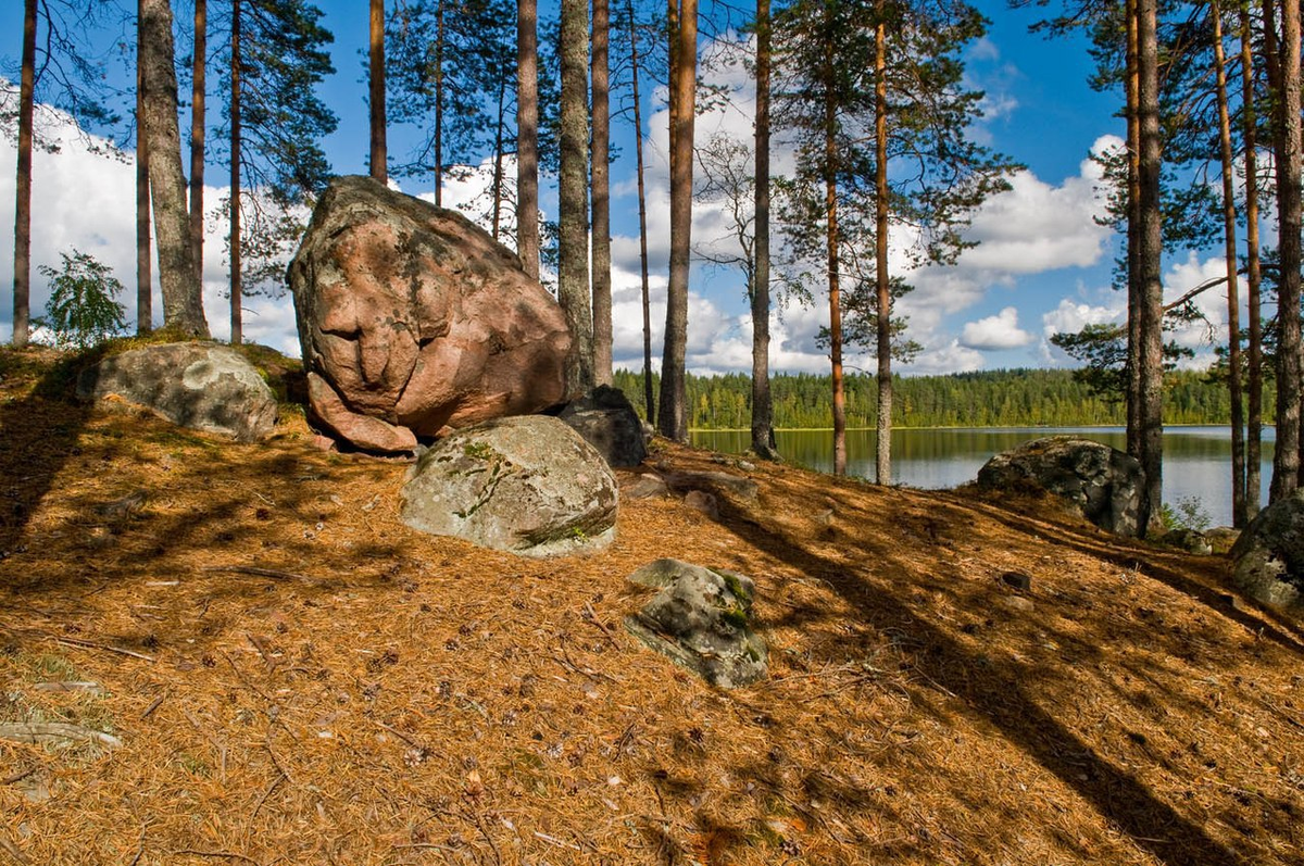 (Автор фото не известен. Если вы его знаете, сообщите об этом в комментариях)