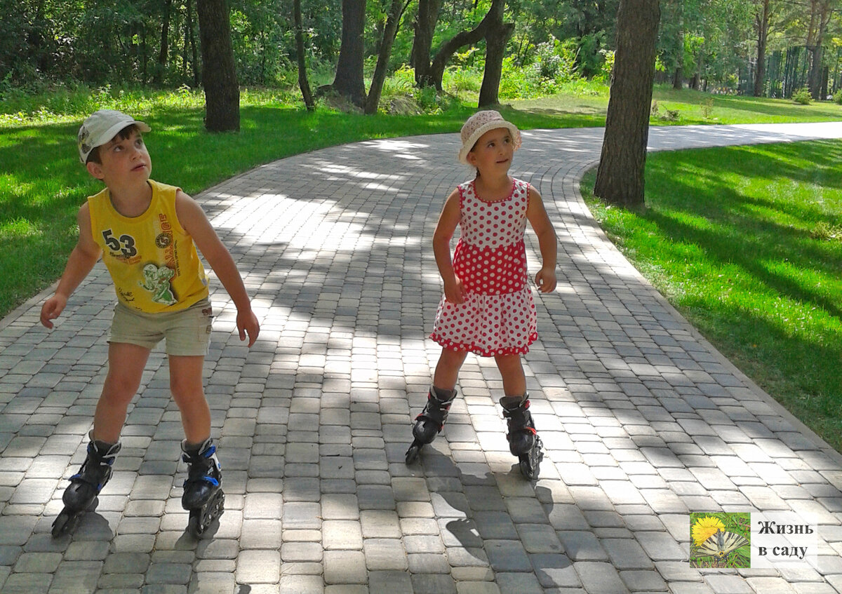 Мы не заперлись на ключ и не прячемся где-то в лесу. Живем, на первый взгляд, как и все, ходили в зоопарк, где дети любили кататься на роликовых коньках.