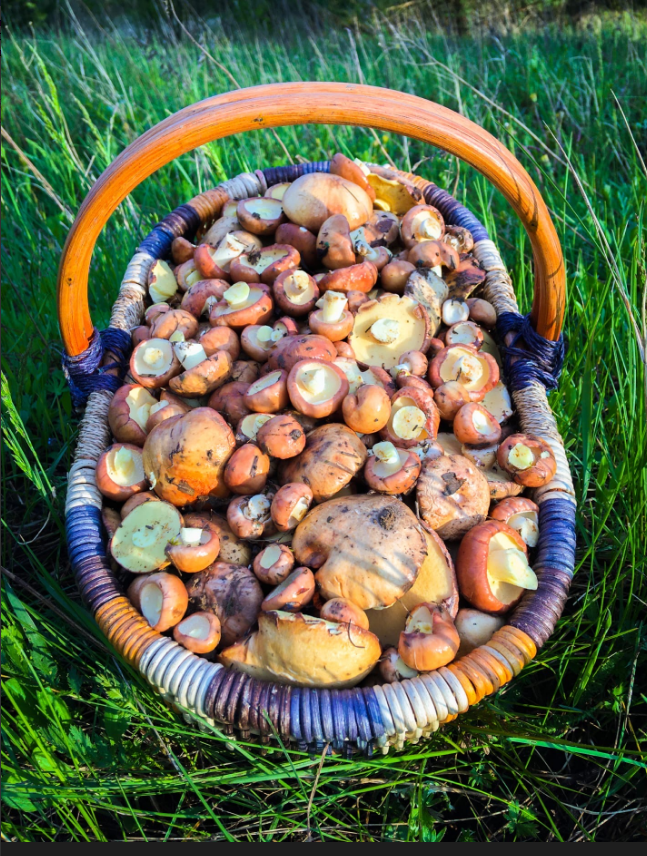 Фото кати Семешко.18 мая 2020