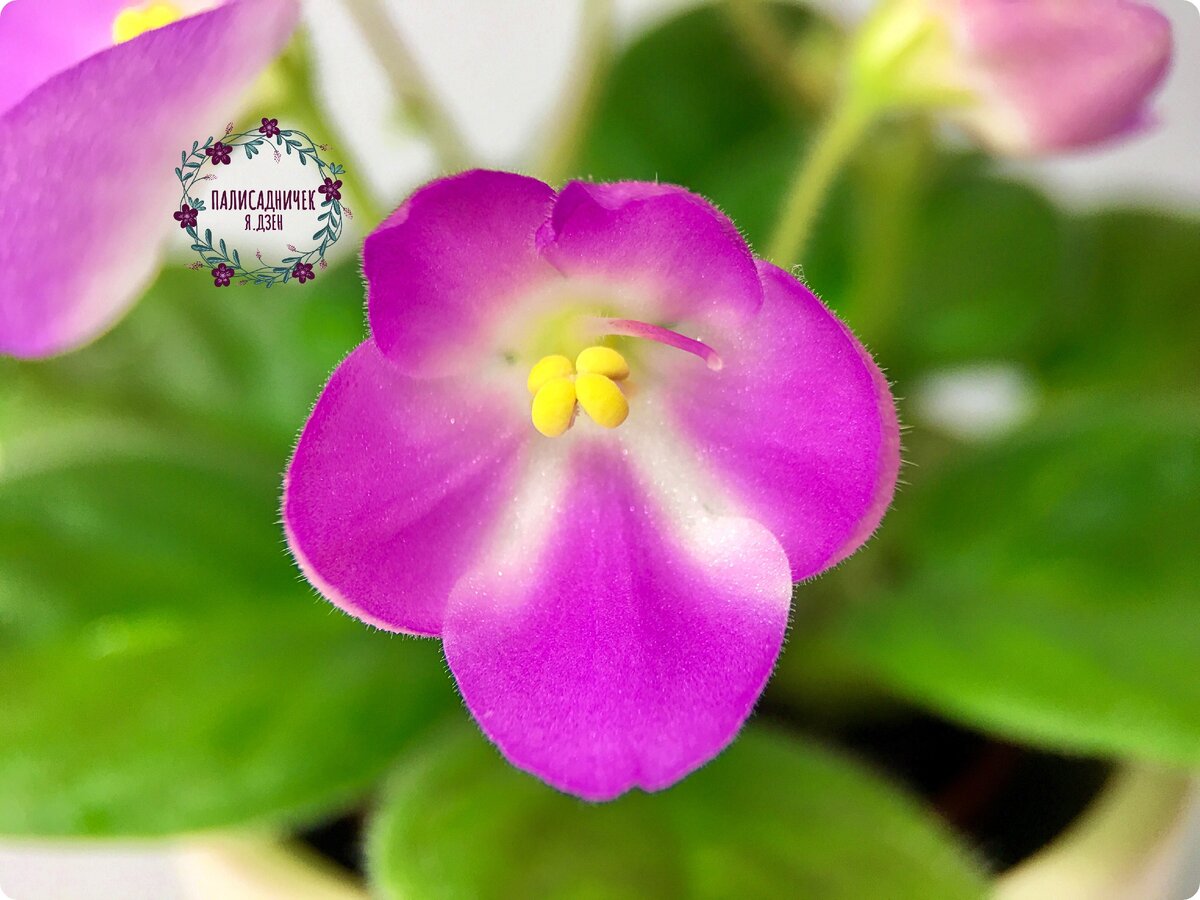 Не хочется верить...