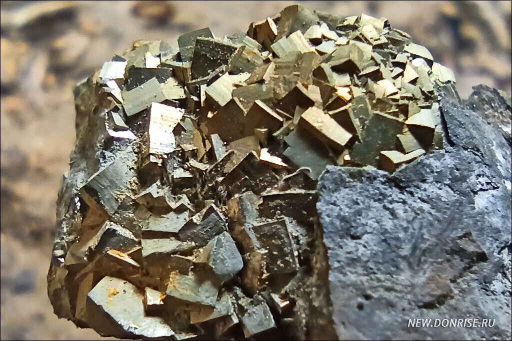 Небольшая друза пирита в аргиллите