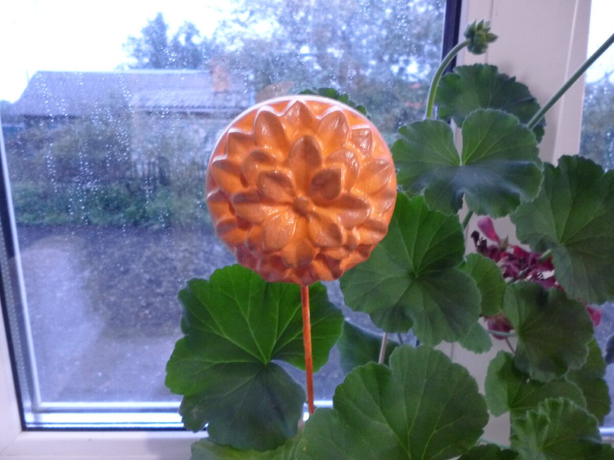 На улице дождь, фото с геранью.