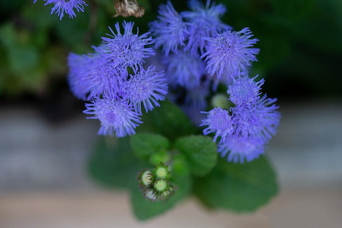 О начале грудного вскармливания 