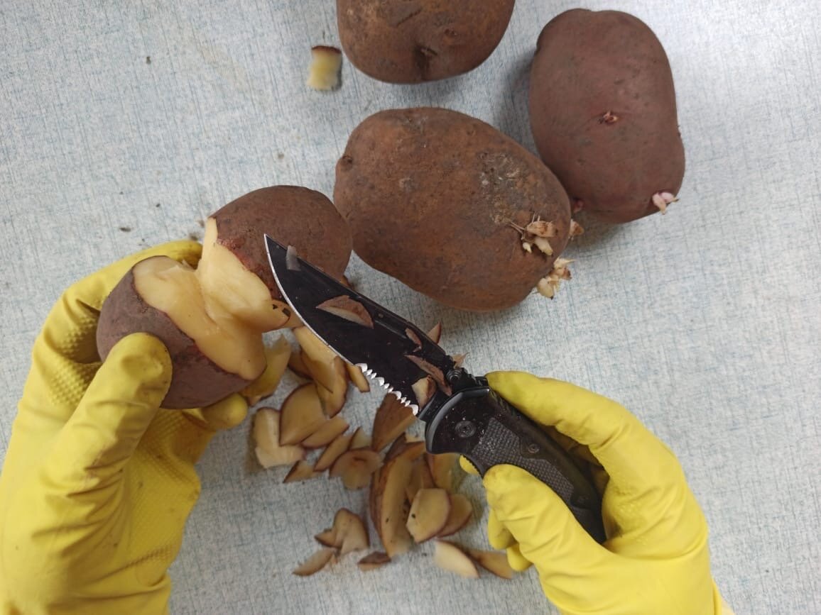 Фото сделано автором (вырезаю "талию")