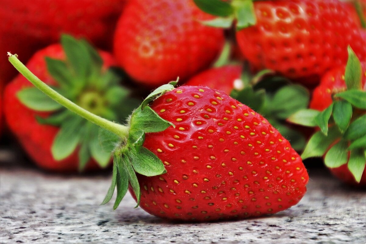 фото из источника  pixabay