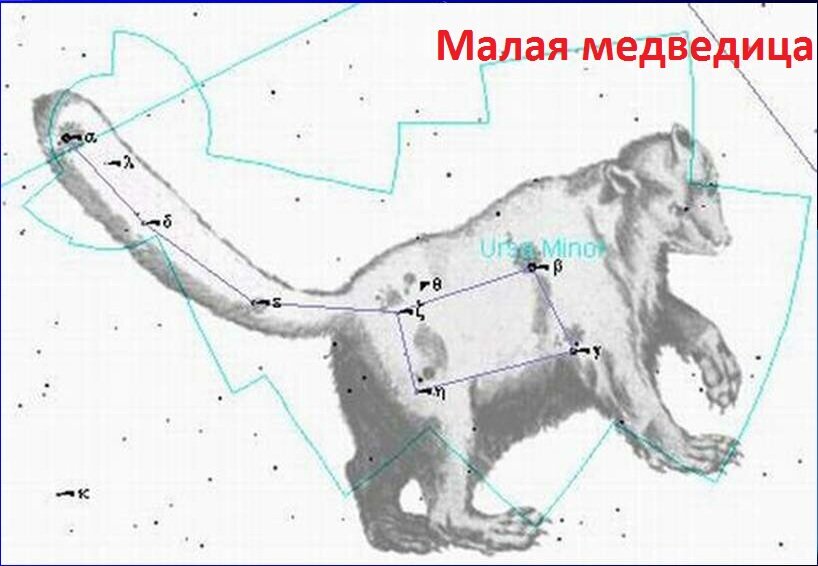 Большая медведица рисунок