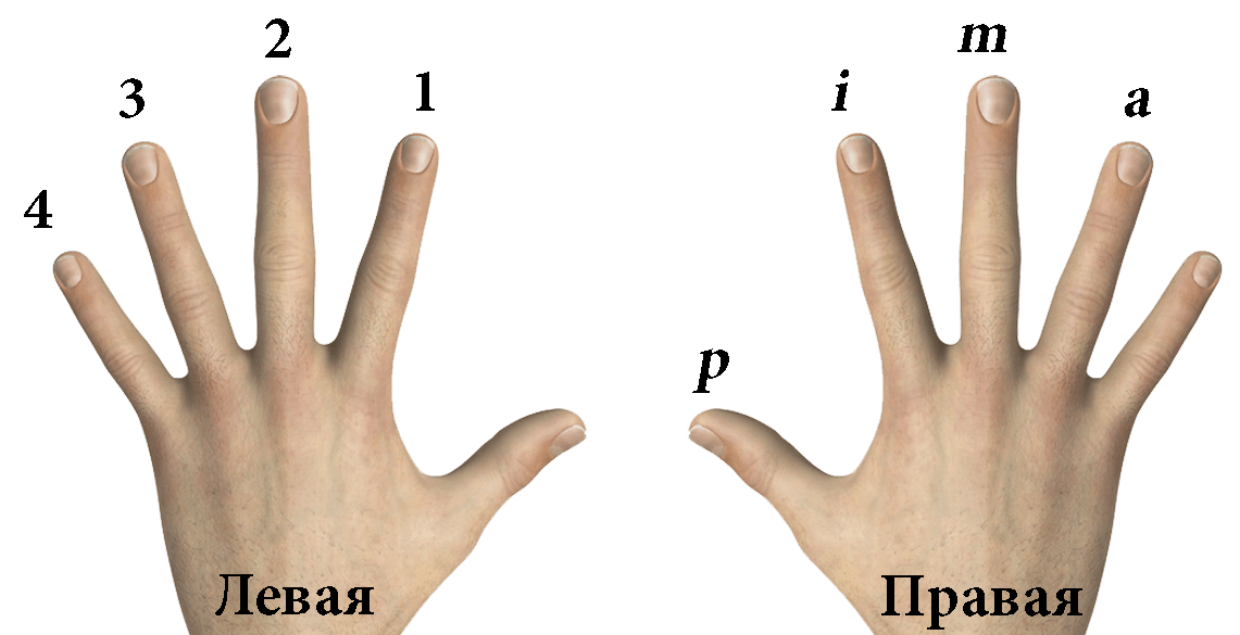 Обозначения пальцев