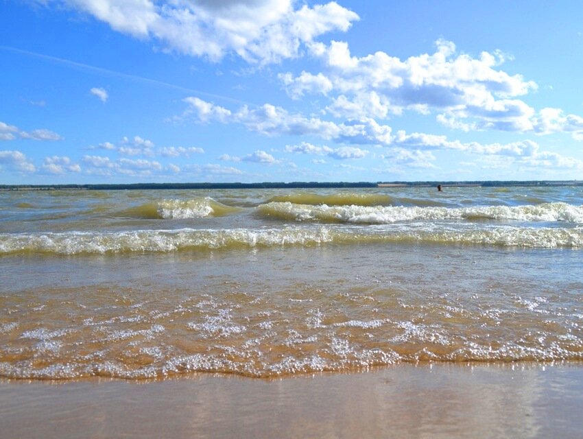 Обское водохранилище новосибирск сегодня. Бердское водохранилище. Обское море. Обское озеро. Море Обь.