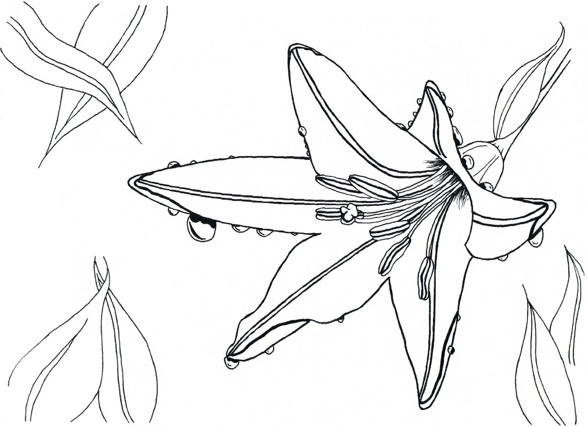 Scan-версия скетч-иллюстрации 