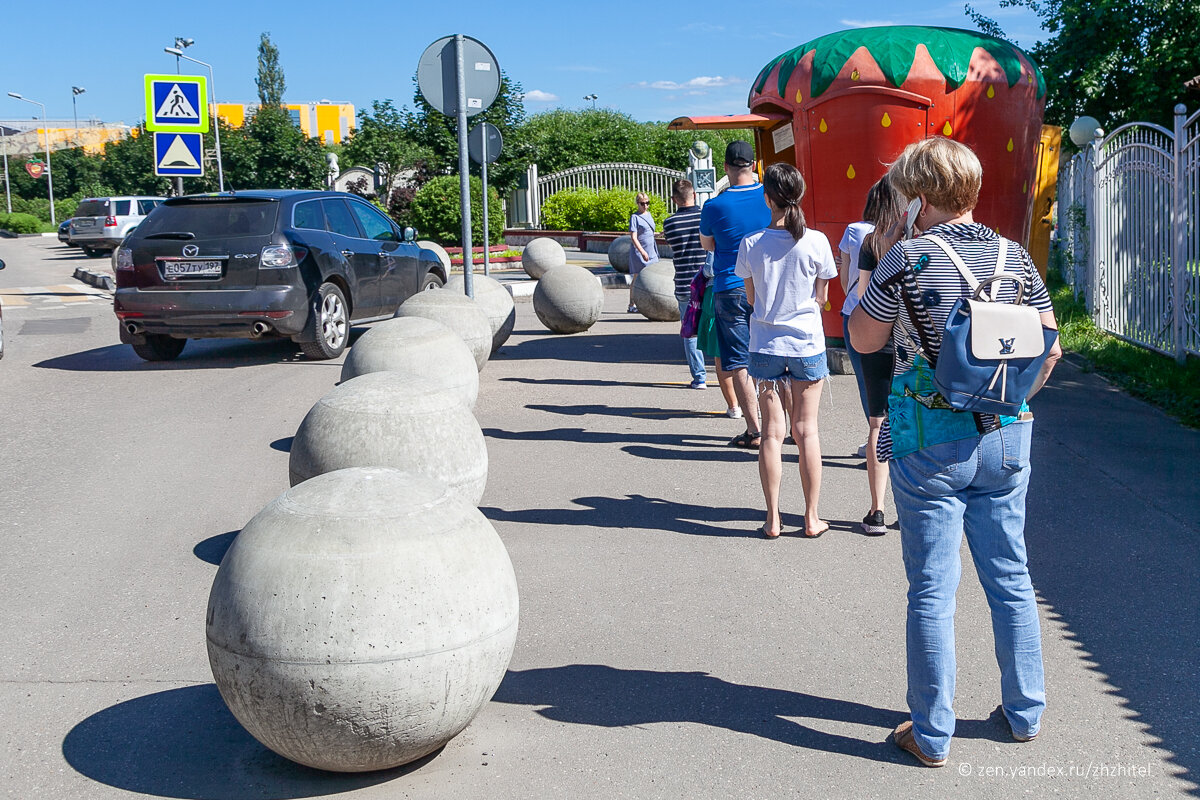 Красна ягодка. Началась продажа клубники совхоза имени Ленина, но власти  против | ЖЖитель: путешествия и авиация | Дзен