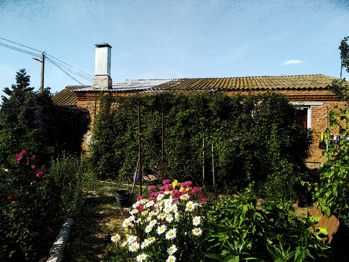 Фото автора.