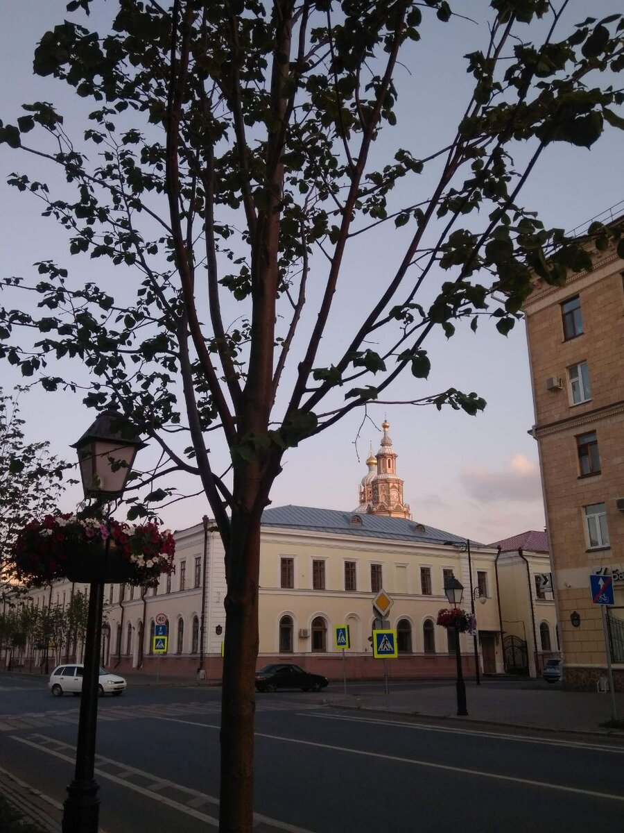 Геологический музей. Виден Петропавловский собор.