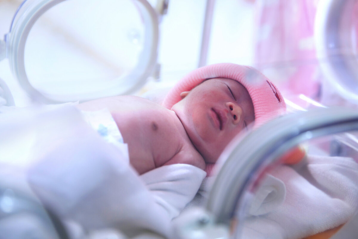 Фото из интернет