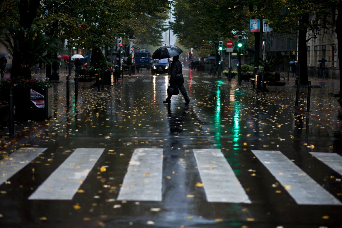 Источник Яндекс картинки