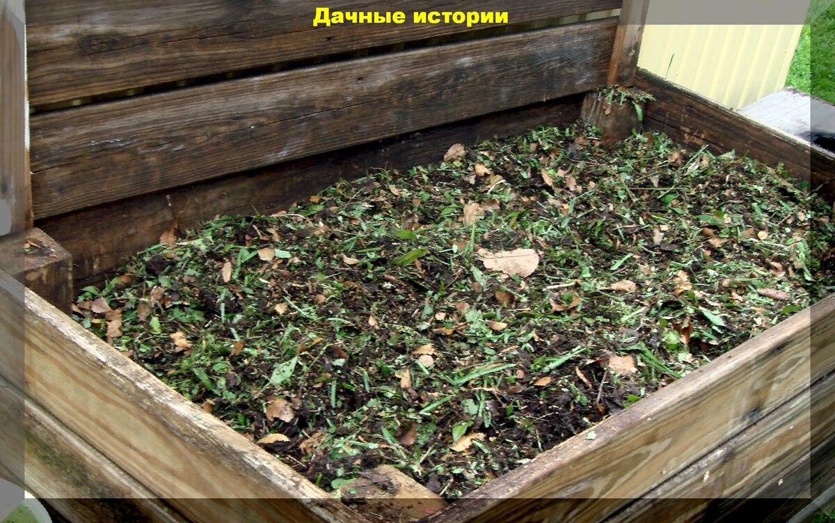 https://vk.com/photo-159774511_457244595