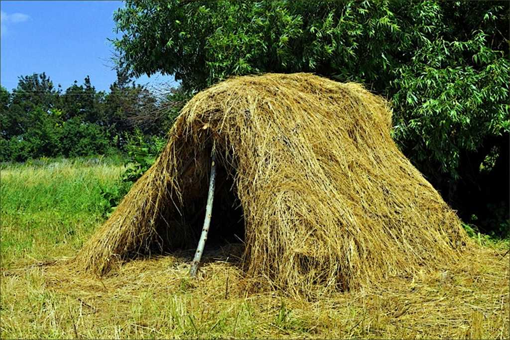 Шалаш. Фото: Яндекс