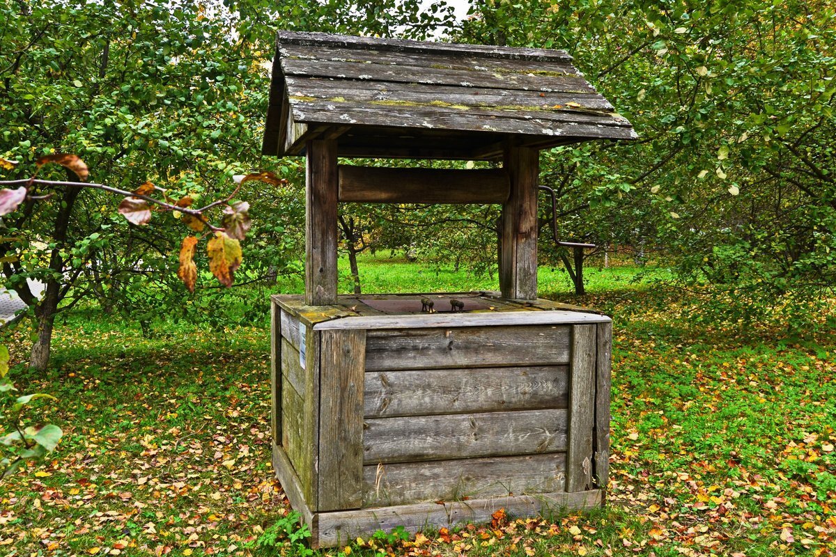 Фото из Яндекс. картинки