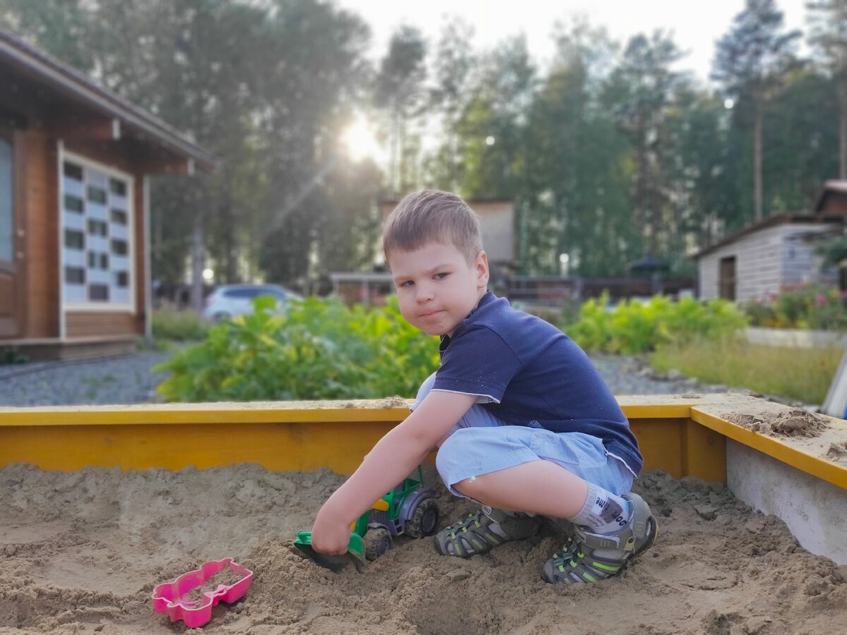 Мой упрямый барашек