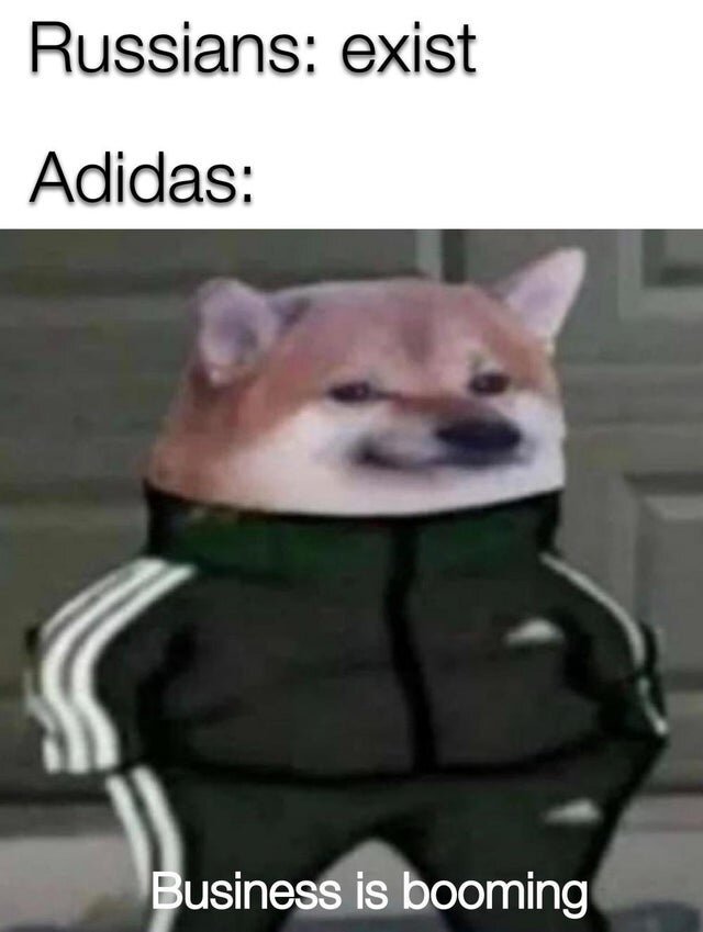 Adidas dog 2025