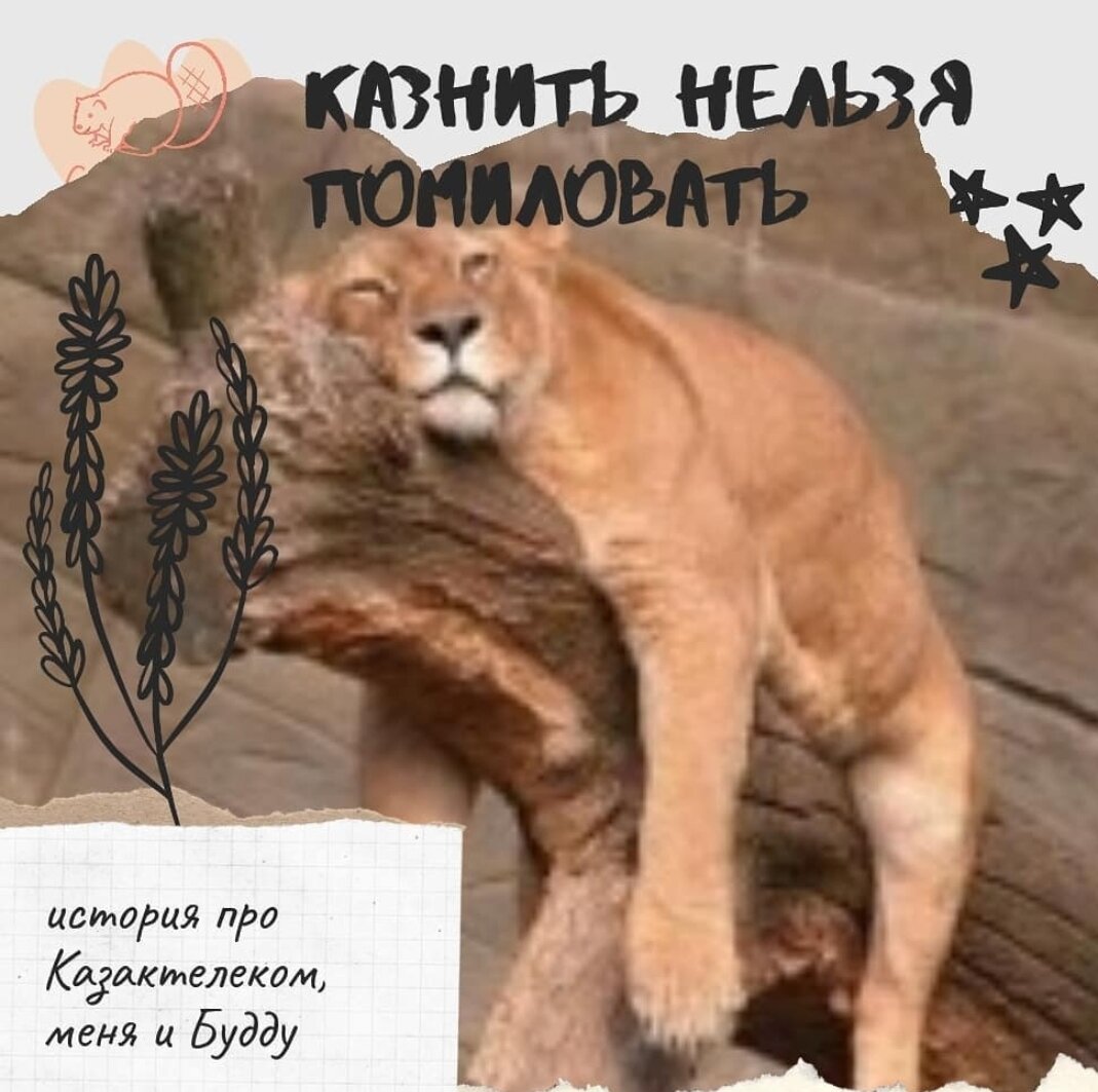 «Если тебя имеют, и ты не чего не можешь сделать, просто расслабься и получай удовольствие» народная мудрость