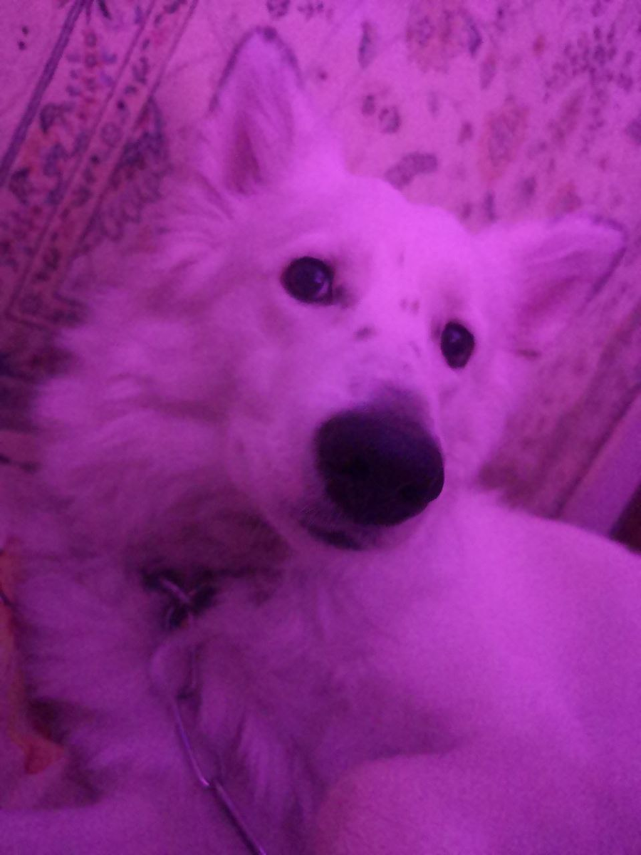 Юся утешает меня, как умеет.