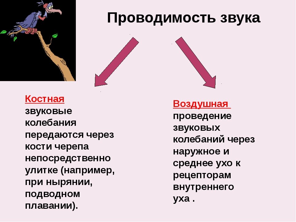 Звук это прежде всего звуковая волна, которая  может улавливаться мозгом разными способами.