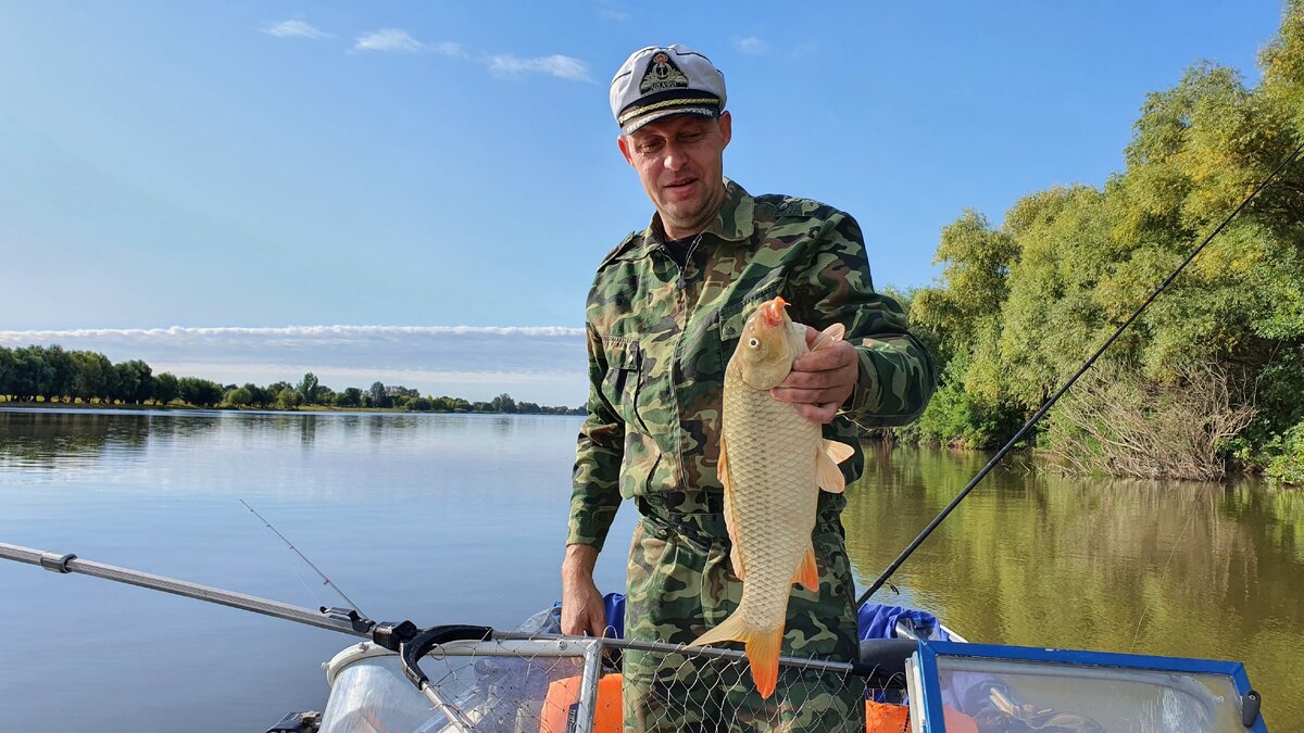 Астрахань, ловля сазана на фидер с лодки на старой Волге