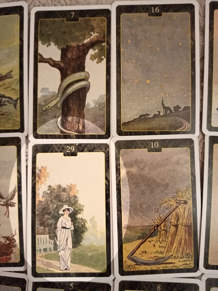 Обращаю внимание не только на новую в политике женщину, но и на змею вверху фото.  В стране будут проявлять активность люди, организующие митинги протесты.