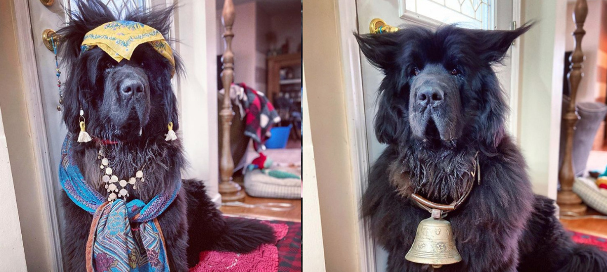 фото взято из интернета.