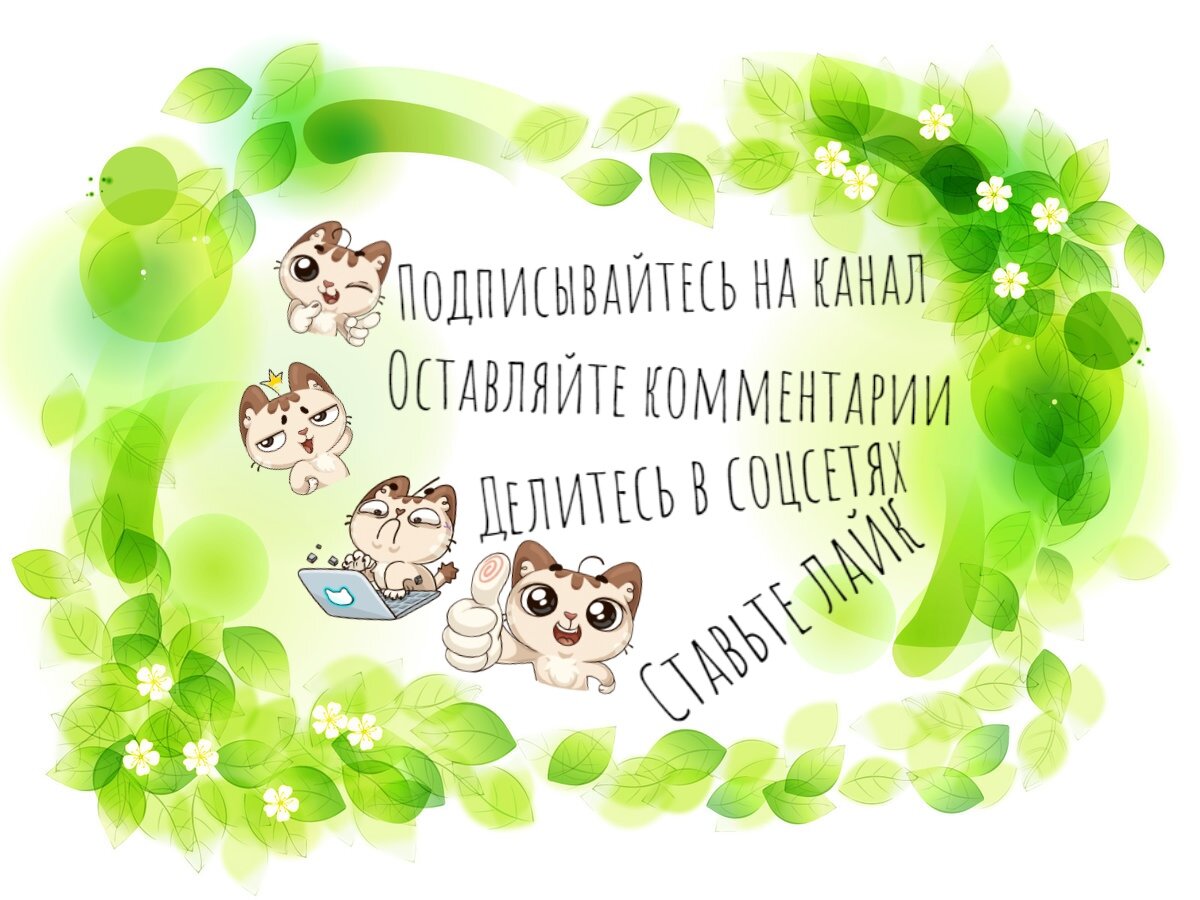 Коллаж автора с использованием стикеров vk.com