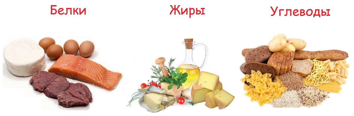 БЖУ